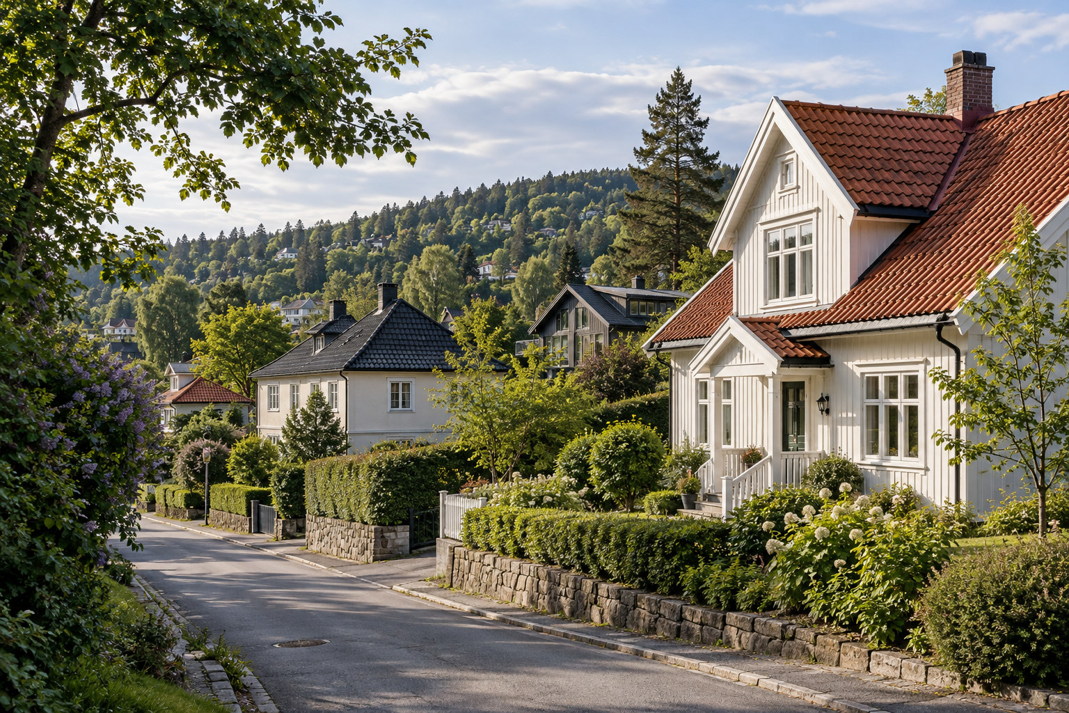 Hvite villaer med hager og steinmurer langs en vei, med en grønn åsside i bakgrunnen